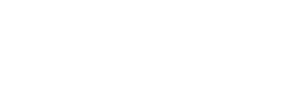 Victor Stegaru - logo